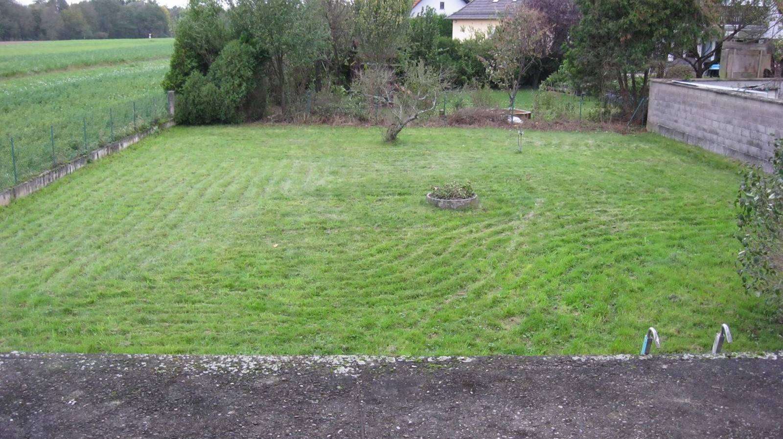 Maison avec grand Terrain à Scheibenhard