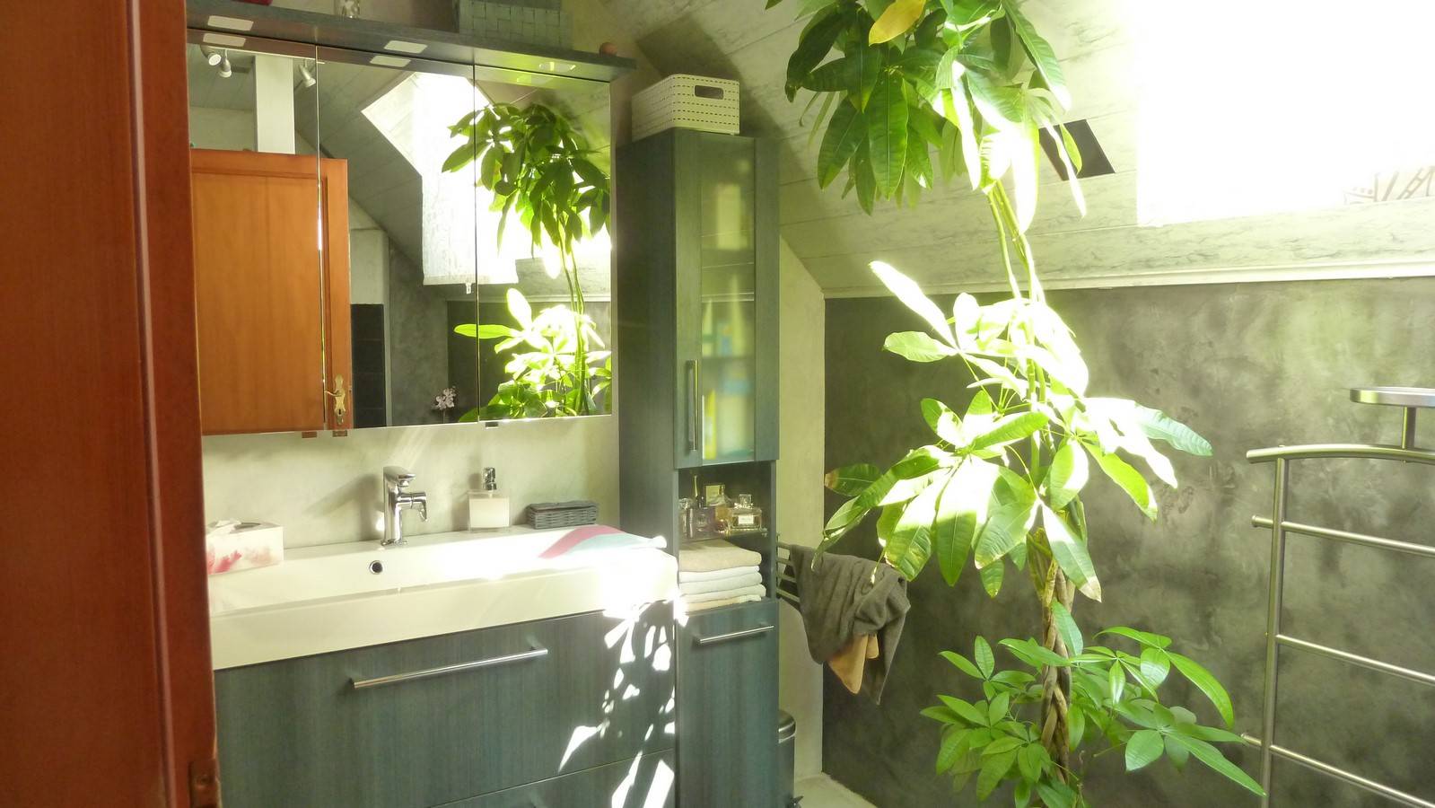 Vente de maison avec terrain à Sessenheim