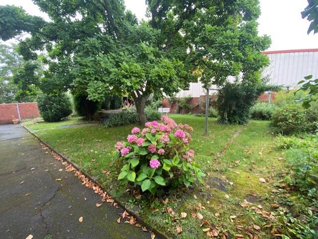 Jardin de grande maison 