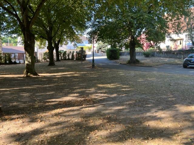 Studio en rez de jardin à Lauterbourg