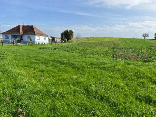 Terrain Constructible à Siegen