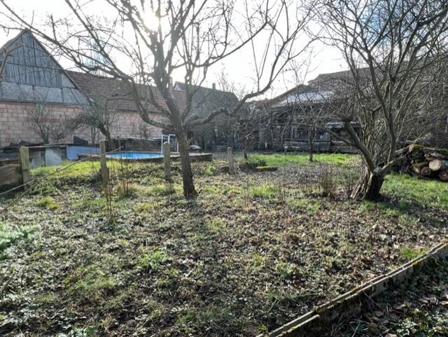 Terrain constructible à Auenheim