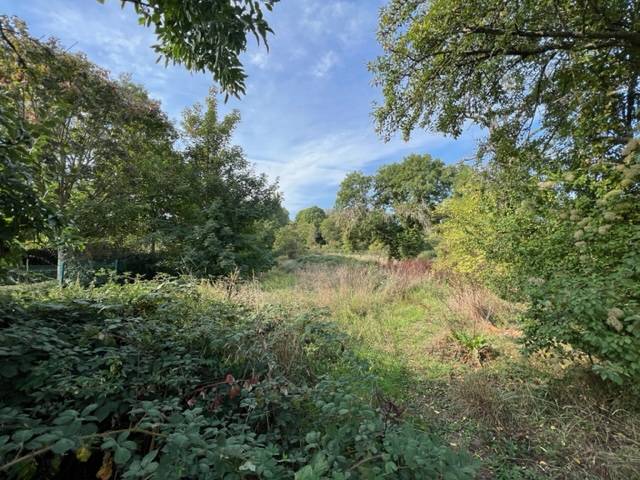 Grand terrain à Wissembourg