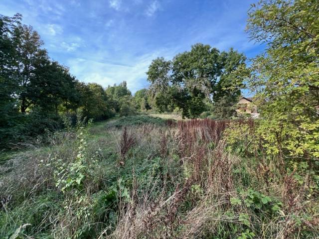 Terrain constructible à Wissembourg