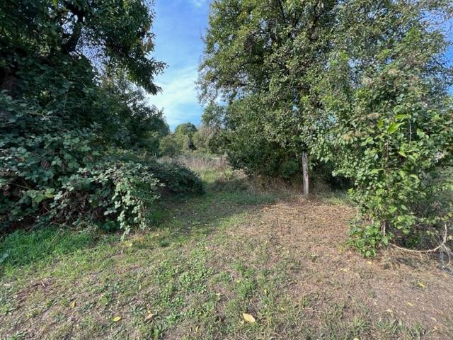 Terrain pour promoteur ou lotisseur à Wissembourg