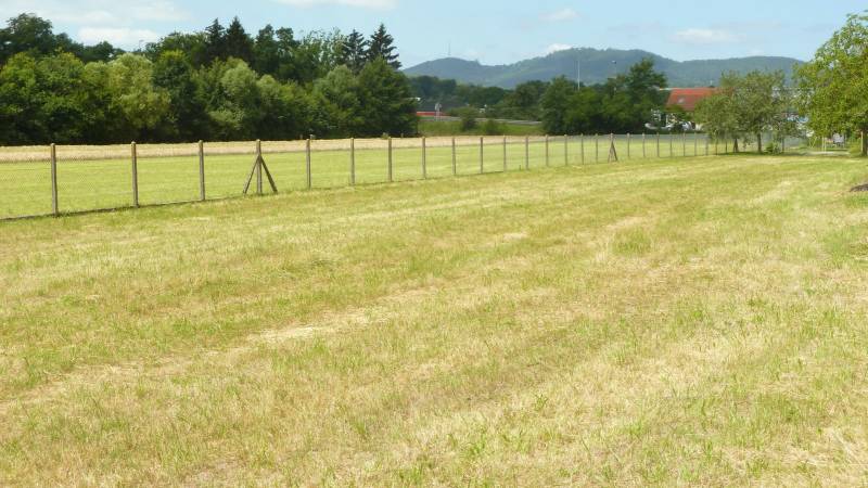 Terrain de construction hors lotissement vendu à Altenstadt