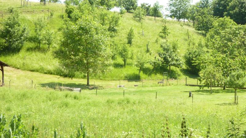 Vente de terrain à Langensoultzbach