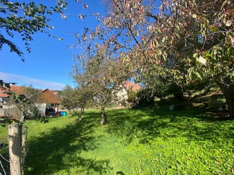 Terrain de construction Climbach 67510 Village 