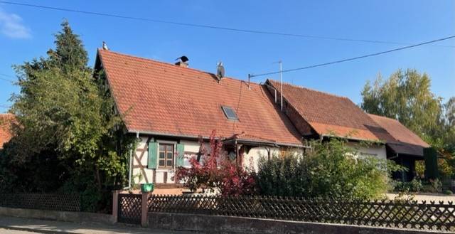 Maison à colombage à Salmbach