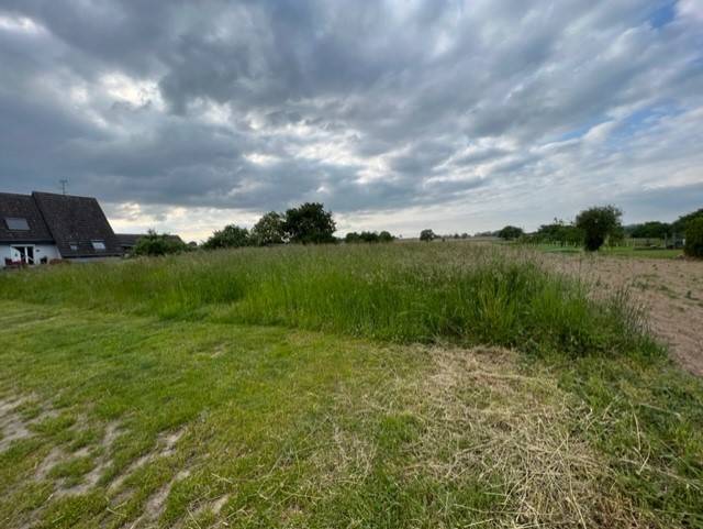 Terrain à bâtir à Schaffhouse près Seltz