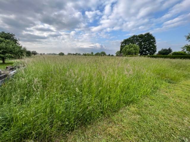 Terrain constructible à Schaffhouse