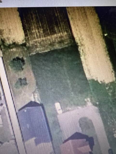 Joli terrain au calme à Schaffhouse près Seltz